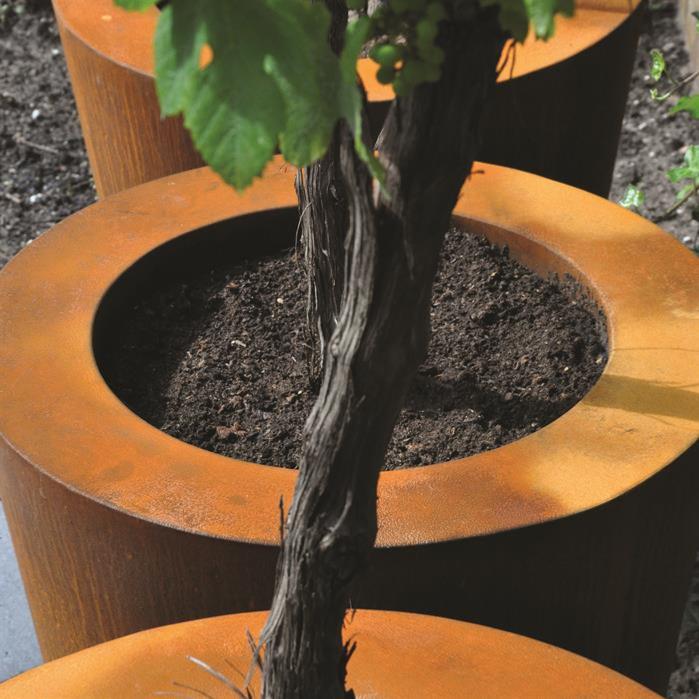 Rusty Corten Steel Cado Cone Pot For Hage