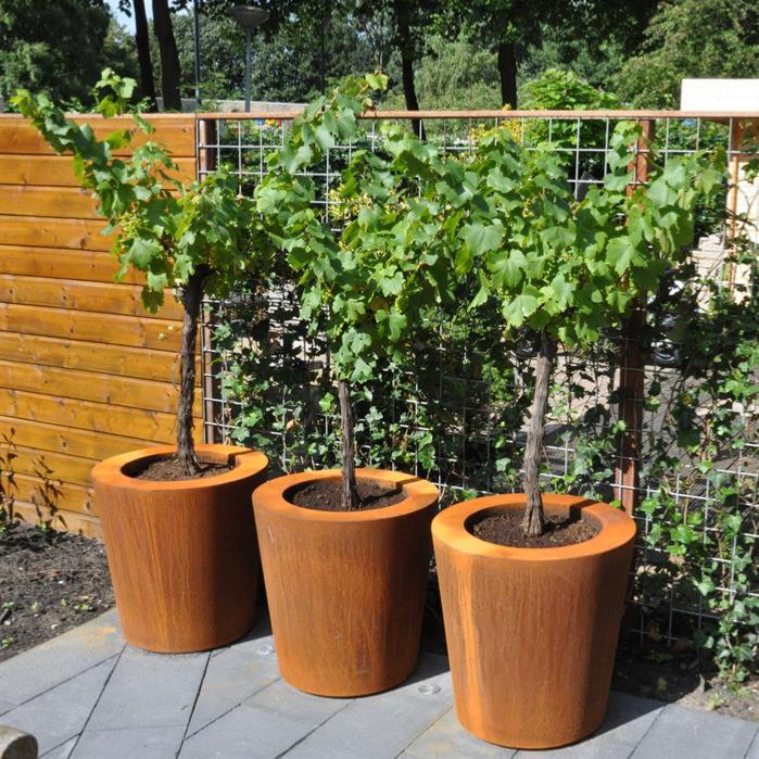 Rusty Corten Steel Cado Cone Pot For Hage