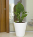 Cono Pot 80 Cm