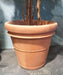 Benocci Terracotta Potte Ø 65 Cm