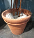 Benocci Terracotta Pot Ø100Cm Frostbestandig