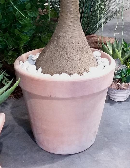 Graffiato Terracotta Pot Ø31Cm Frostbestandig