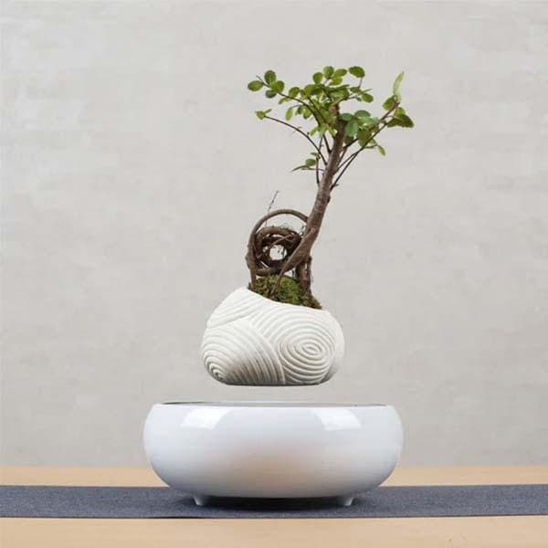 Sphere Pot