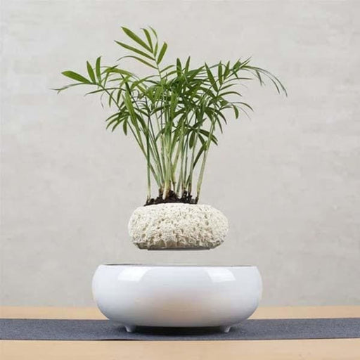 Sphere Pot