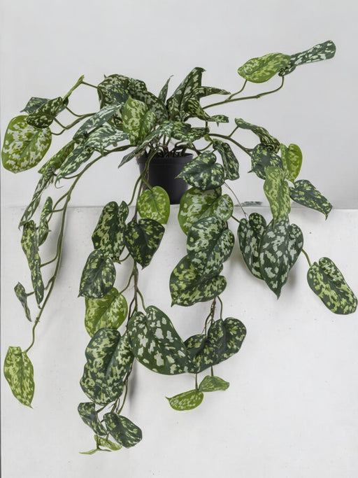 Pothos Silver - Kunstig Hengende Plante