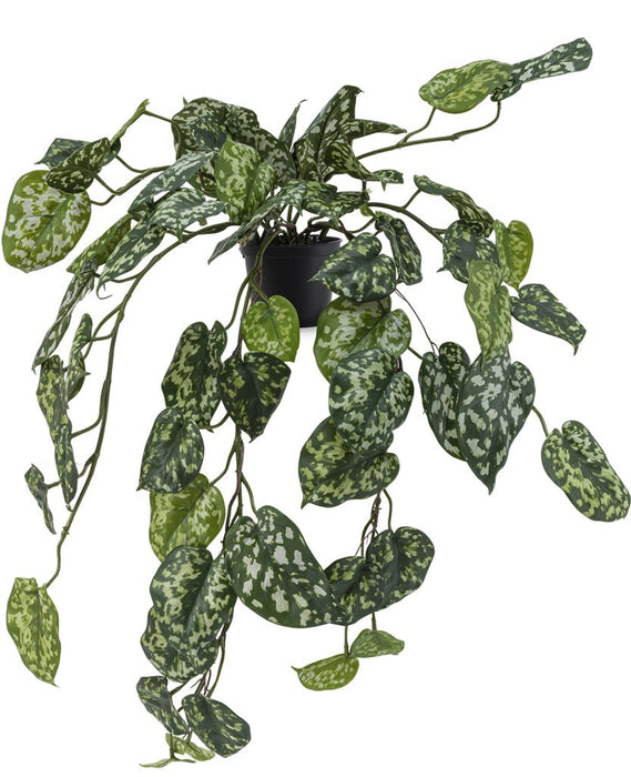 Pothos Silver - Kunstig Hengende Plante