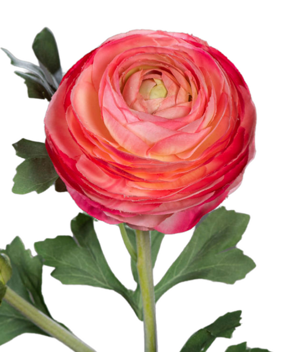 Kunstig Ranunculus Fuchsia Stamme 57 Cm