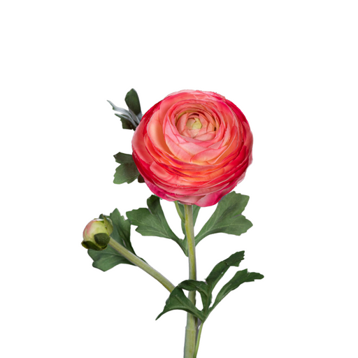 Kunstig Ranunculus Fuchsia Stamme 57 Cm