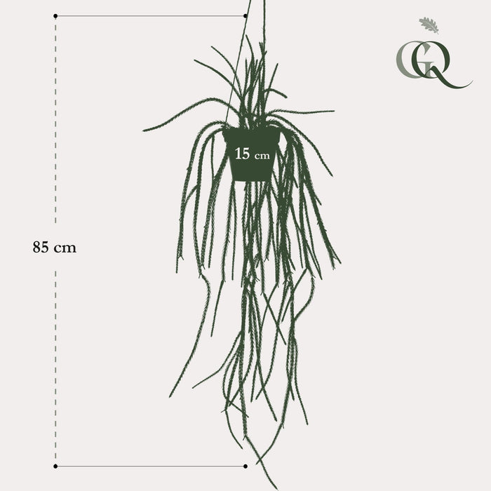 Rhypsalis Coral Cactus Kunstig Plante - H85Cm, Ø15Cm