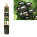 Ribes Nigrum 'Ben Nevis'+3.0 Etikett - Ø17Cm - ↕75Cm