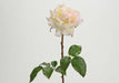 Artificial Cream Rose 52Cm For Interiørdekorasjon