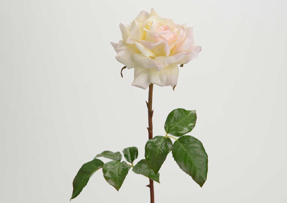 Artificial Cream Rose 52Cm For Interiørdekorasjon