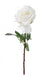 Artificial Rose Olive 70Cm Tergal White