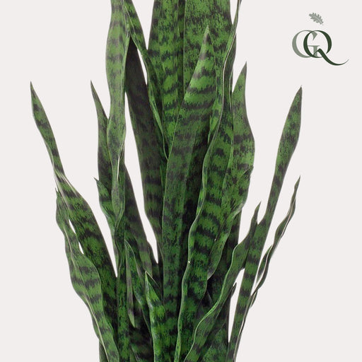 Sanseveria Black Coral Artificial Plant - H97Cm, Ø12Cm