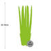 Sansevieria Straight