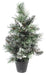 Kunstig Mini Finley Frosted Gran Tree 45Cm Grønn Hvit