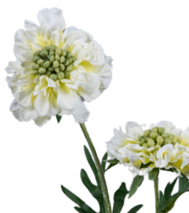 Kunstig Scabiosa-Stilk 55 Cm Kremdekorasjon