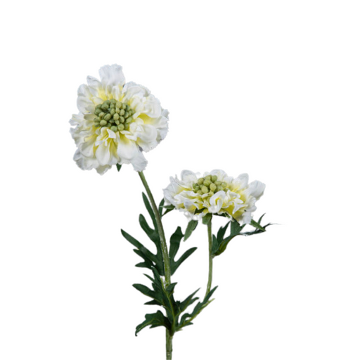 Kunstig Scabiosa-Stilk 55 Cm Kremdekorasjon