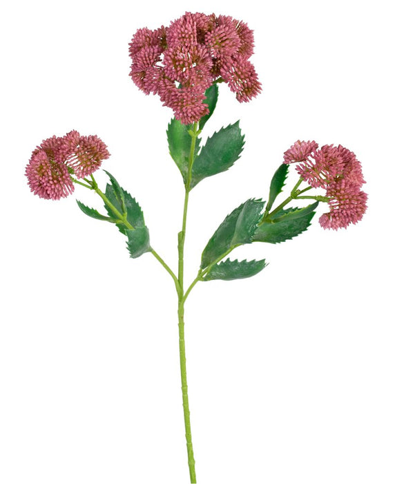 Kunstig Rød Sedum