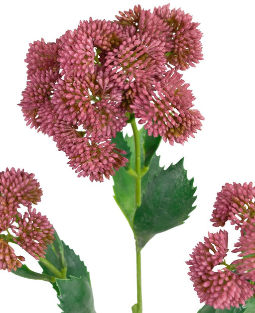 Kunstig Rød Sedum