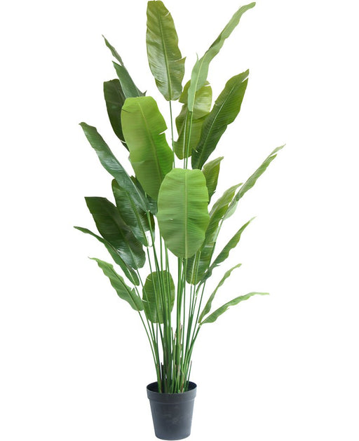 Strelitzia Nicolai - Stor Kunstig Plante