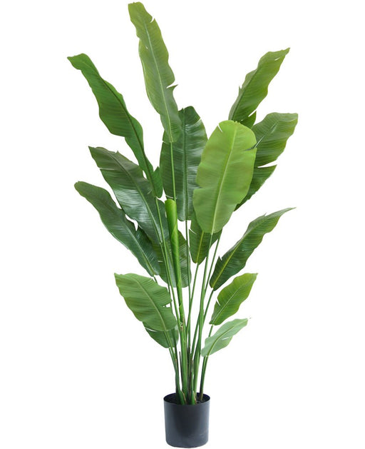 Strelitzia Nicolai - Stor Kunstig Plante