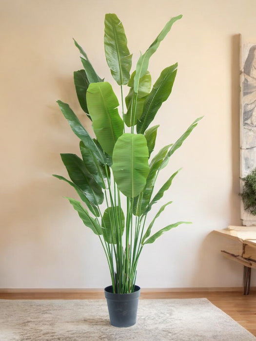 Strelitzia Nicolai - Stor Kunstig Plante