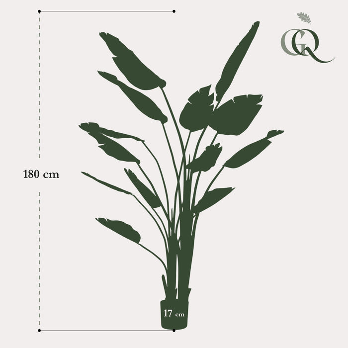 Strelitzia Nicolai Kunstig Plante - H180Cm, Ø17Cm