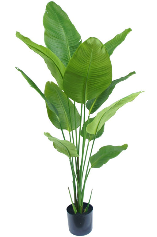 Strelitzia - Stor Kunstig Plante