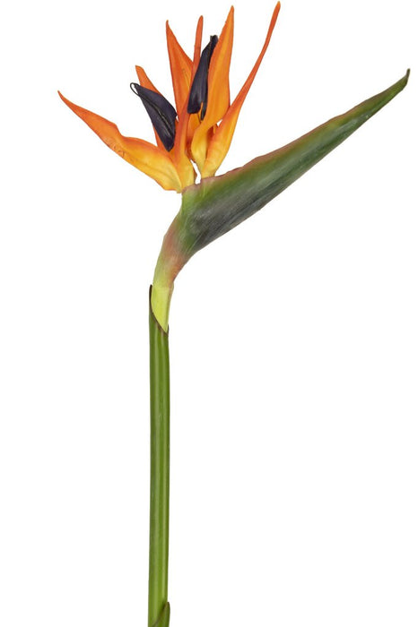 Strelitzia Rød/Lilla - Kunstig Blomstrende Gren