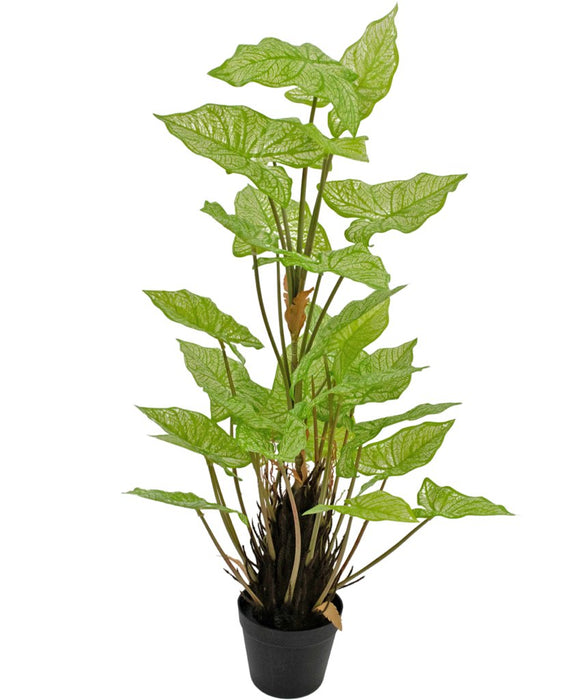 Syngonium - Stor Kunstig Plante