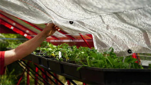 Acd Shade Cloth