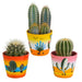 Cactus Trio H18Cm