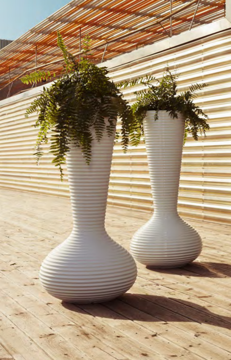 Bloom Vase