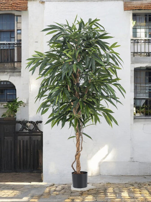 Veronica Longifolia Royale - Kunstig Tre