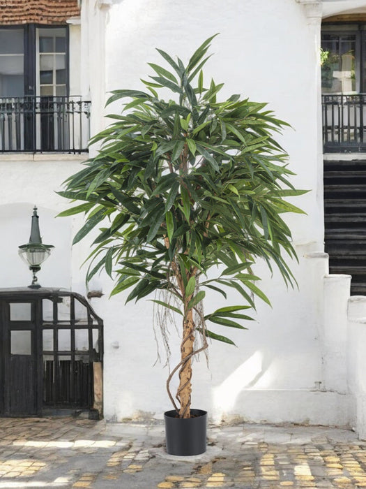 Veronica Longifolia Royale - Kunstig Tre