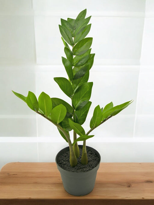 Zamioculcas - Kunstig Grønn Plante