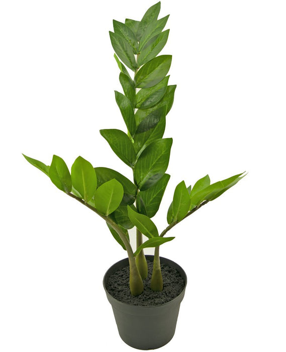 Zamioculcas - Kunstig Grønn Plante