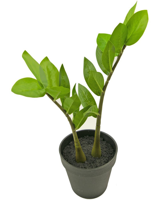 Zamioculcas - Kunstig Grønn Plante