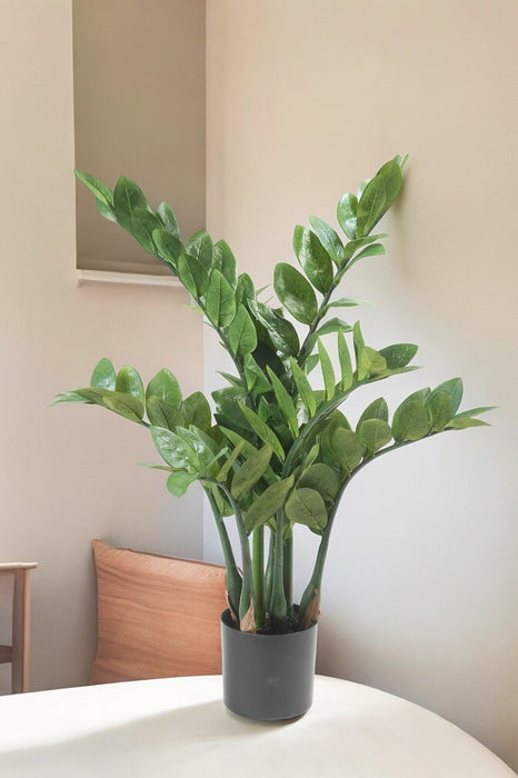 Zamioculcas Kunstig Plante - H70Cm, Ø12Cm