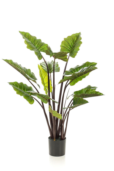 Colocasia Pink Kina Kunstig Plante - H130Cm, Ø15Cm